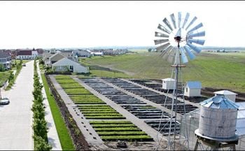 Organic farm -
